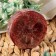 Massage soap with Luffa "Black Currant" 100 g "Dobroparov"
