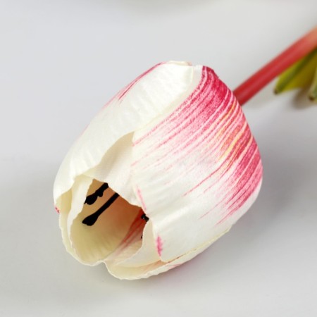 Artificial flowers "Empores Tulip" 4*90 cm, (the size of the bud 6x4cm) white with raspberry-1