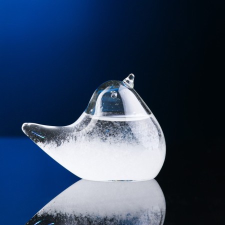 Barometer - Stormglass "Bird" 7.5x4x5cm