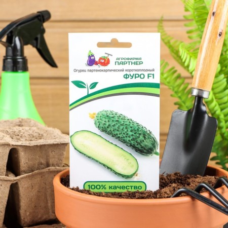 Cucumber seeds "Furo", F1, 5 pcs.