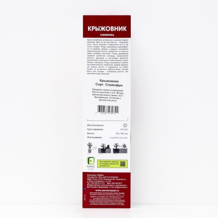 Gooseberry "Spinefrey", 1 pc, tube, spring 2025-1