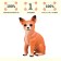 Figure "On the farm: Chihuahua"