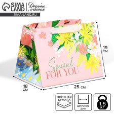 Gift package with a wide bottom, packaging, Special for You, 25 x 19 x 18 cm