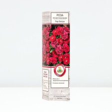 Seedling rose soil -cover 
