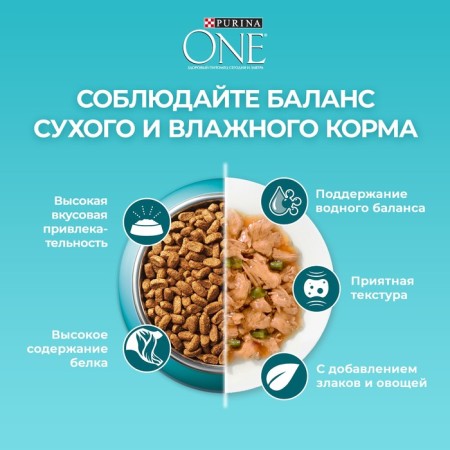 Dry food Purin One for sterilized cats, beef/wheat, 750 g-8
