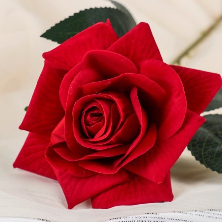 Artificial flowers "Delicate velvet" D-12 cm H-55 cm, red-1