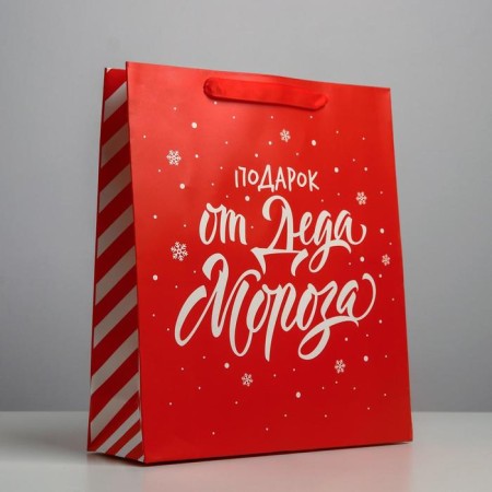 Package Laminated Vertical “Gift from Santa Claus”, M 26 x 30 x 9 cm, New Year-1
