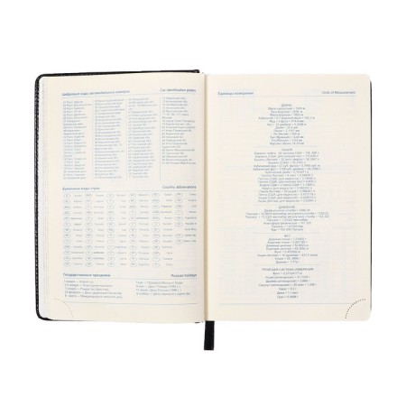 Diary of 2025 A5, 168 sheets in a ruler, leatherette "Nebraska", silver cut, black-9