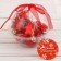 Set of jewelry plastic 10 pcs "Sanda" red