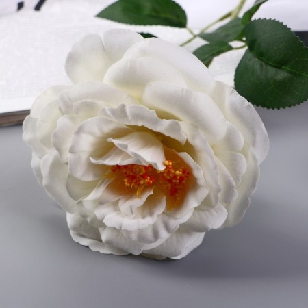 Artificial flowers "rose Pretty" d-10 cm 55 cm, white-1