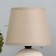 Ilana desktop lamp E14 40W Coffee 14x14x23 cm Risalux