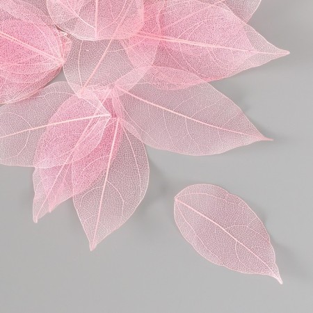 Leaves skeletoned for creativity "light pink" set 20 pcs h = 6-6.5 cm-1
