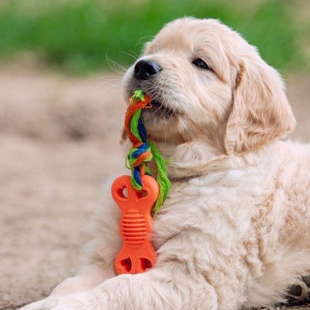 Chewing toy with a rope "Bone on a leash", 9.5 cm, pink-4