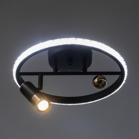 Acropolus chandelier 35W LED black, gold 2700-6400K 30x30x15cm-4