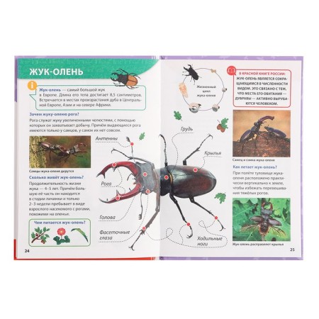 Encyclopedia for small clutches "Red Book"-5