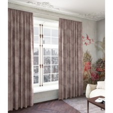 Curtain 