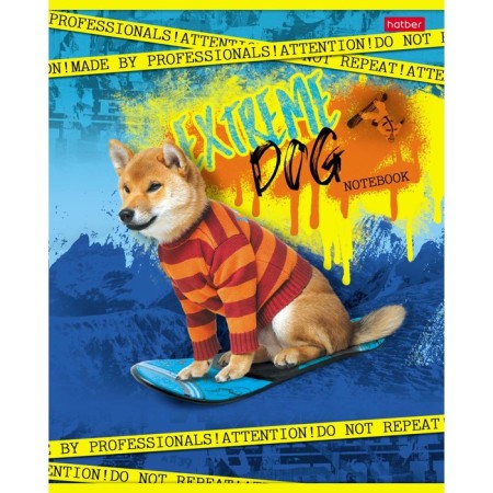 Notebook of 40 sheets, in a “dog drive” cage, cover coated cardboard, an offset block 65g/m2, 5 types-3