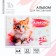 Album for drawing A4 32 sheets on the spring "September 1: Red Kitten"