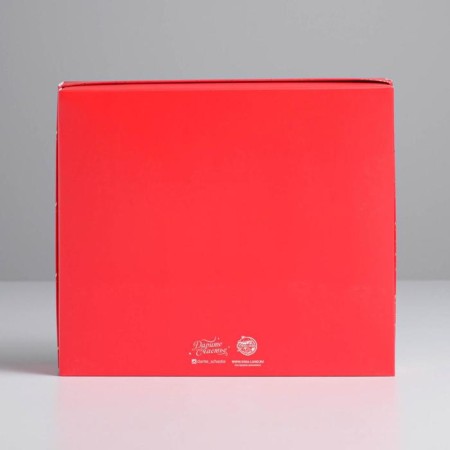 Gift box “Happy New Year!”, 23.5 x 20.5 x 5.5 cm, New Year-2