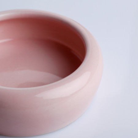 Ceramic bowl 100 ml 10 x 3.2 cm, pale pink-3