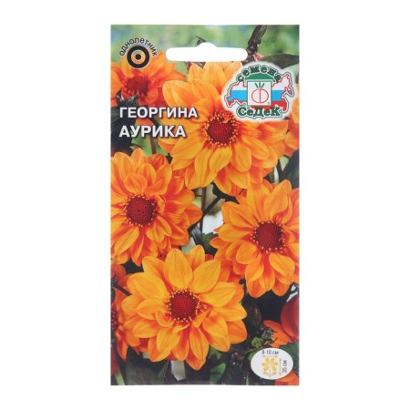 Georgin's flowers "Aurika", Euro, 0.1 g