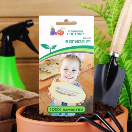 Bagira melon seeds, F, 5 pcs-2