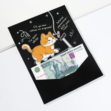 Envenue for money, a birthday card "Congratulatory", with a cat, 6 sheets, 16.3 x 21.3 cm-14