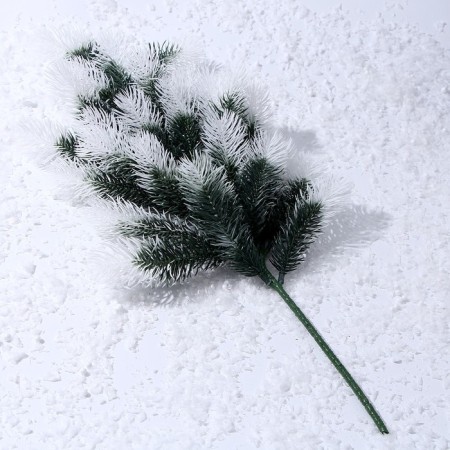 Decor "Branch of silver spruce"-3