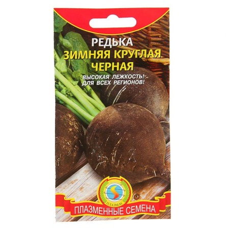 Seeds Radish "Winter Round", 1 g