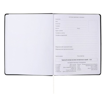 Universal diary for grade 1-11 Dark Brown, hard cover, artificial leather, foam rubber, lies, 80 g/m2-12