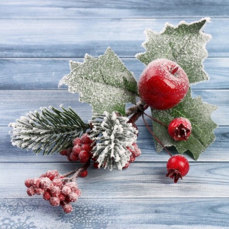 Decor "Winter Dreams" Apple Kalina Red, 20 cm-1