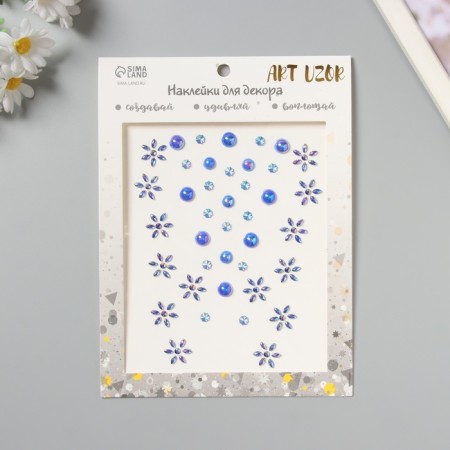 Stick plastic rhinestones for hair "Blue flowers" 21x15.5 cm