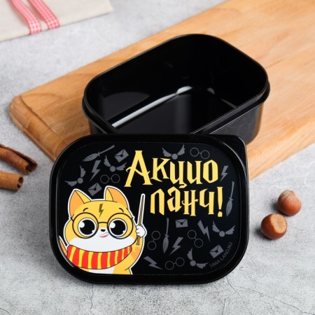 Lancer-Box "Actzio lunch", 0.5 l-1