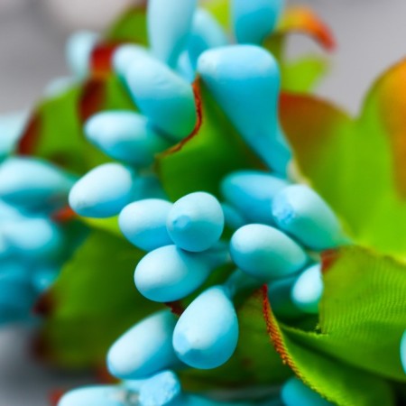 Flowers for decorating "Jasminovid oxen" 1 bouquet = 10 blue colors 9.5 cm-2