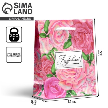 Gift Package Laminated, packaging, “Congratulations”, S 12 x 15 x 5.5 cm