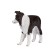 Figure Konik "Board-Colli"