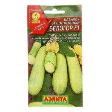 White -fruited zucchini 