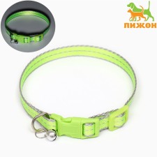 Neon collar 24-36 x 1.5 cm, green