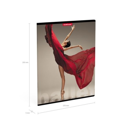 Notebook 48l Erichkrause "Ballet", matte lamination, mix-8