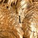 Piggy bank "Eagle" bronze, 63cm