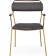 ASPEN Metal/velor Metal Carcass, gold/gray 60x65x86 cm