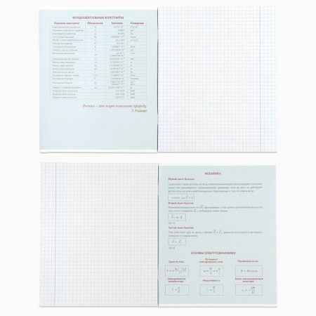 Subject notebook A5, 48 liters on the paper clip “September 1: Anime. Physics” VD LAK-2