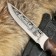 Caucasian knife, tourist "Golden Eagle" with scabbard, steel - 40x13, handle - nut, 14.5 cm