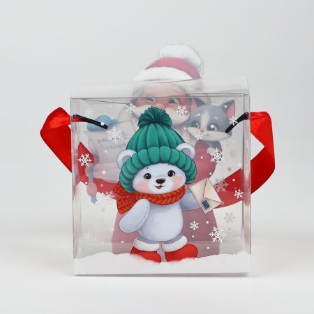 PVS gift box, Santa Claus, 10 x 10 x 10 cm, New Year-5