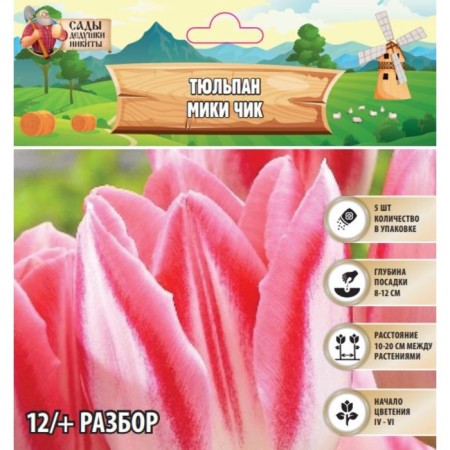 Tulip Miki Chick, rr 12/+, 5pcs, autumn 2024