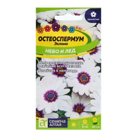 Seeds osteosperme "sky and ice", 0.1 gr.