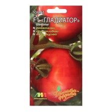 Seed Tomat 