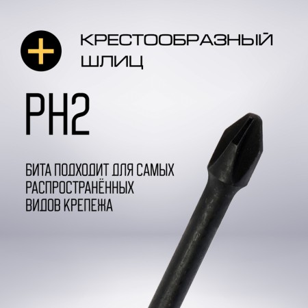 Биты ТУНДРА ПРОФИ, Torsion, сталь S2, PH2 х 50 мм, пвх-чехол, 2 шт.-2