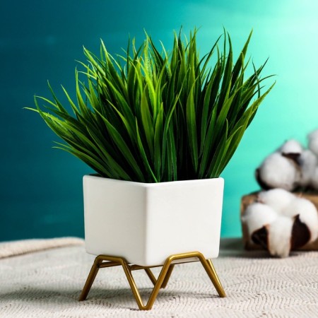 Pot "Cube" on the stand, 7x7cm