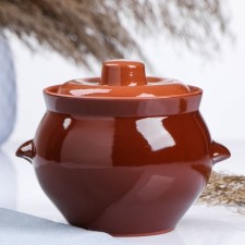 Ceramic potted pot 